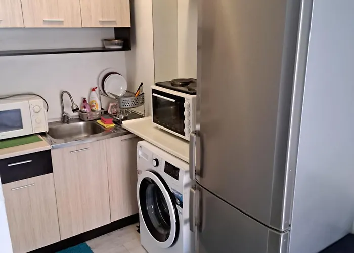 Sun стамат икономов 11