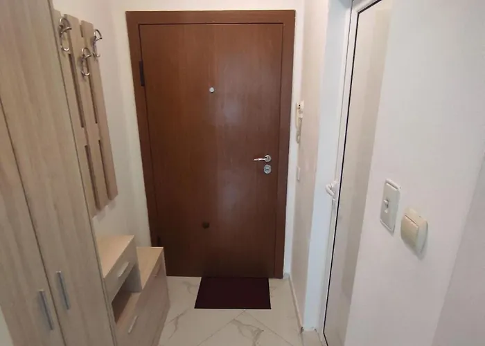 Sun стамат икономов 11 *