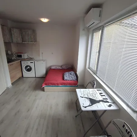 Sun стамат икономов 11