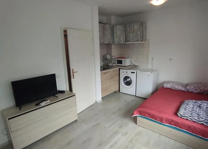 Sun стамат икономов 11