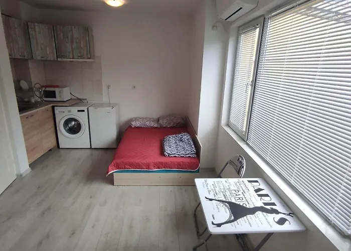 Sun стамат икономов 11