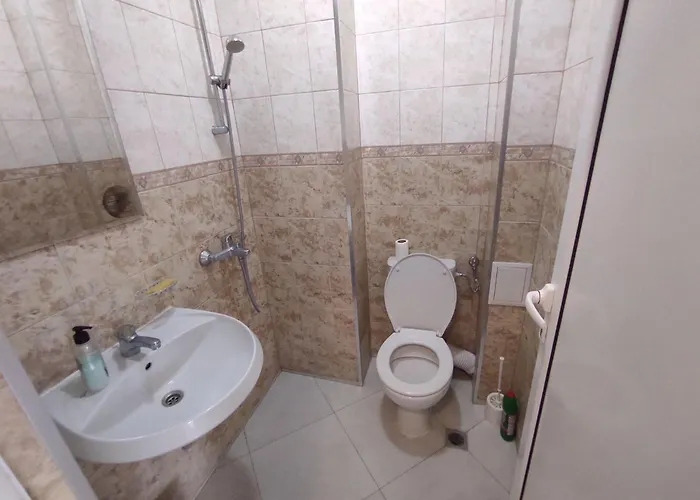 Sun стамат икономов 11 普罗夫迪夫