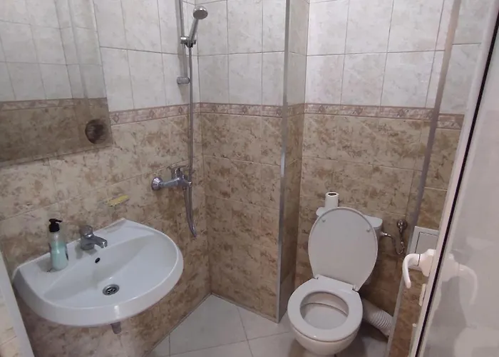 Sun стамат икономов 11 普罗夫迪夫